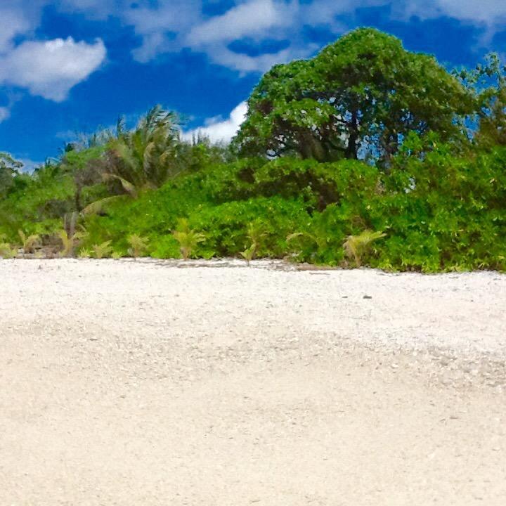 Fare Maeva Moorea Hotell Teavaro Rom bilde